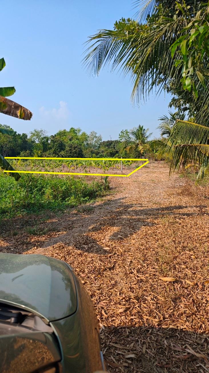 ที่ดินกรุงเทพ - หนองจอก 331 ตรว