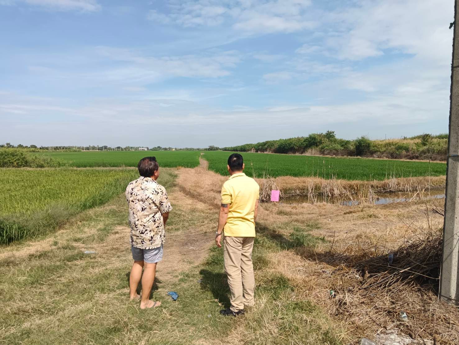 ขายที่ดินกรุงเทพฯ เขตหนองจอก ที่ดินทำเลงาม พร้อมลงทุน ประกอบกิจการได้ 25-3-83 ไร่.