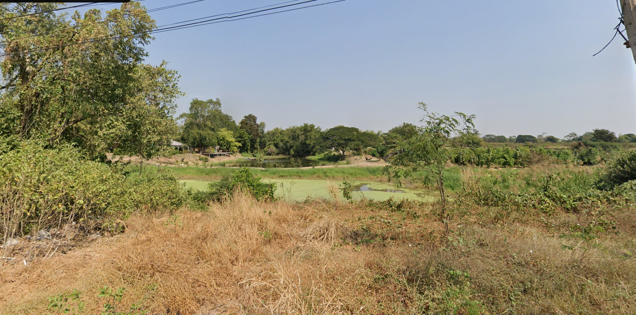 ขายที่ดินอยุธยาฯ อำเภอเมือง ที่ดินพร้อมกิจการ