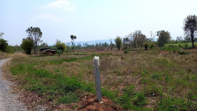 ที่นาท้ายบ้าน หนองบัวลำภู 1-2-89