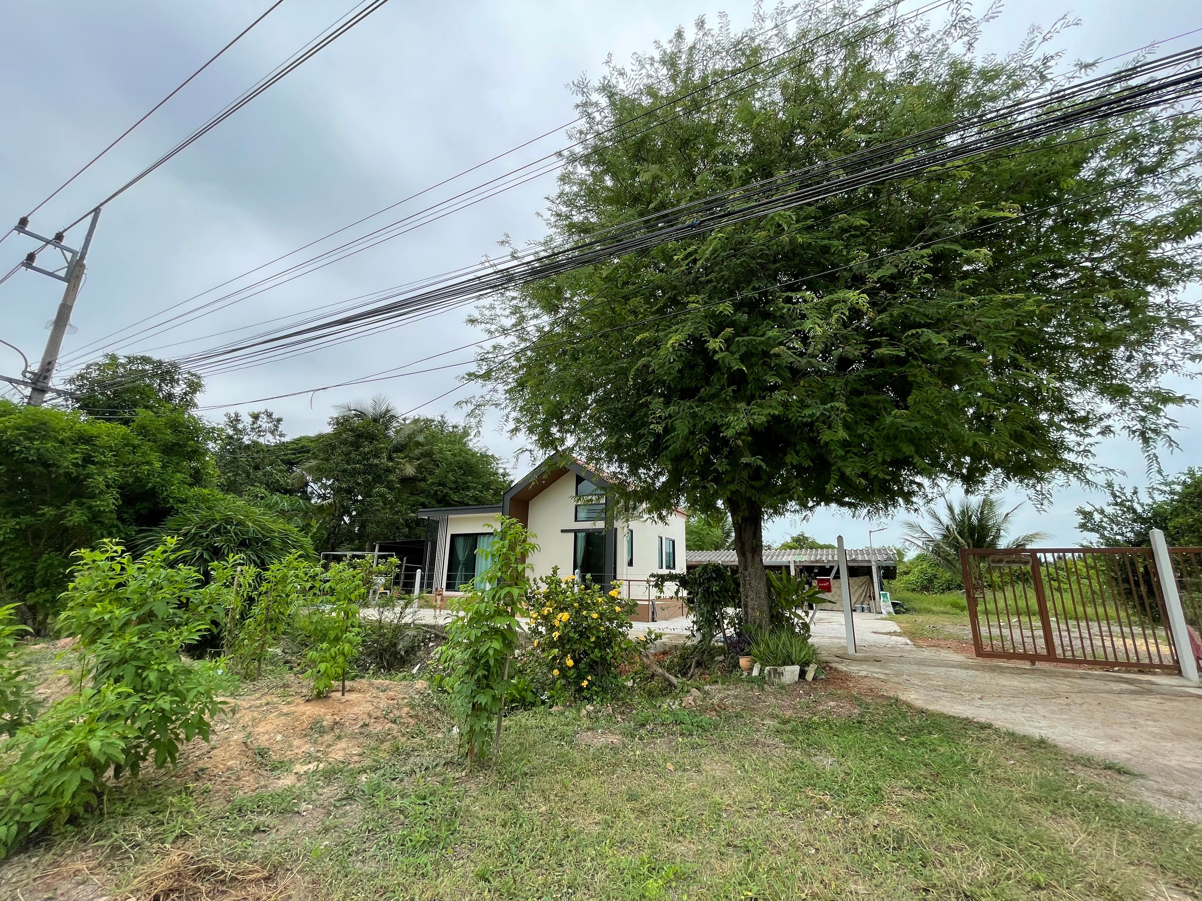 ขายบ้านราชบุรี โพธาราม บ้านพร้อมที่ดินติดถนนใหญ่ ทำเลดี (เจ้าของขายเอง)