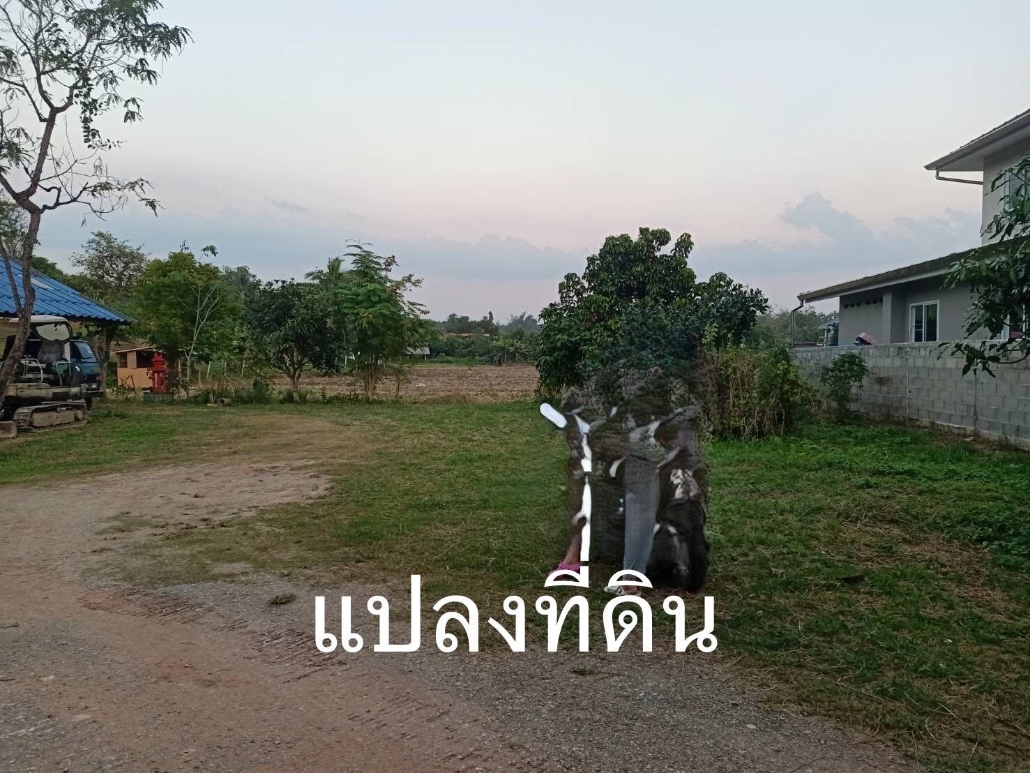 ขายที่ดินเชียงราย อำเภอเมืองเชียงราย ใกล้สิงห์ปาร์คเชียงราย ที่แปลงสวย น่าลงทุน