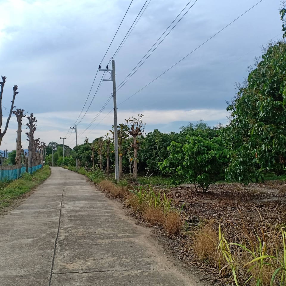 ขายที่ดินเชียงราย จ.เชียงราย อ.แม่สรวย 2 ไร่