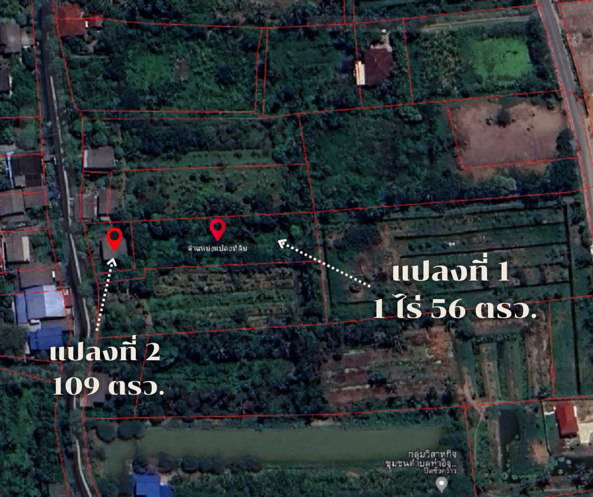 ขายที่ดิน 2 แปลงคู่ สวนร้าง ท่าอิฐ ปากเกร็ด