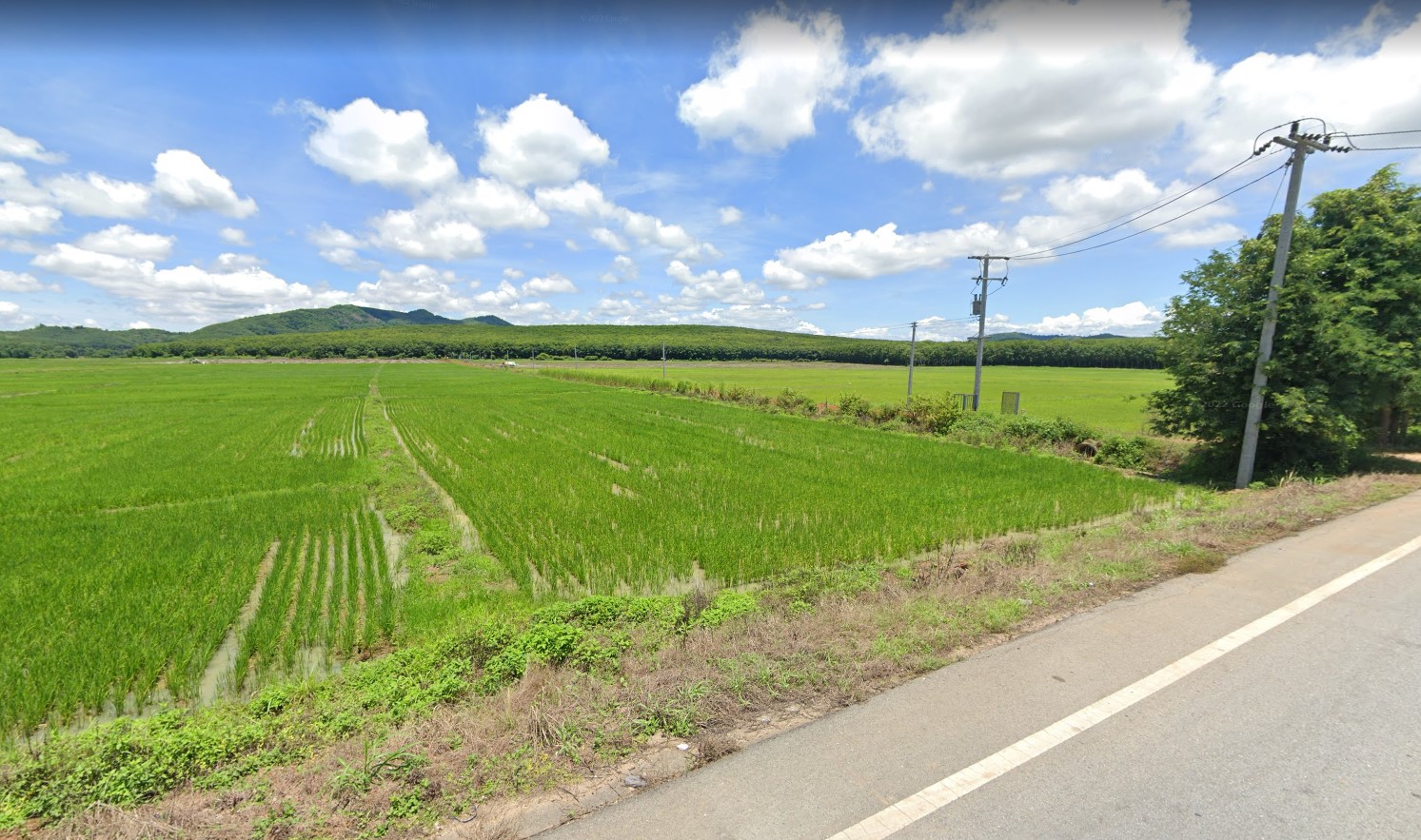 ที่ดินเปล่าแปลงใหญ่ แม่จัน เชียงราย 158-2-38