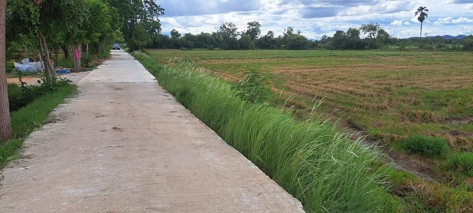 ขายที่ดินราชบุรี แปลงสวย ใกล้ชุมชน โพธาราม ราชบุรี 6-0-0 ไร่.