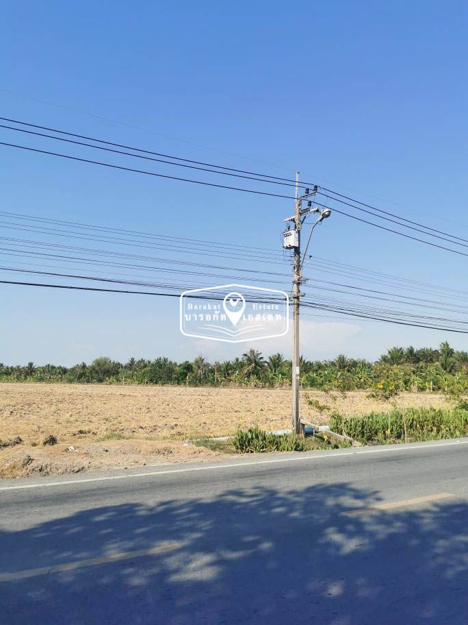 แปลงสวยติดถนนคลอง9 ตรงข้ามสโมสรฟุตบอลเยาวชน  เขตหนองจอก จังหวัดกรุงเทพฯ