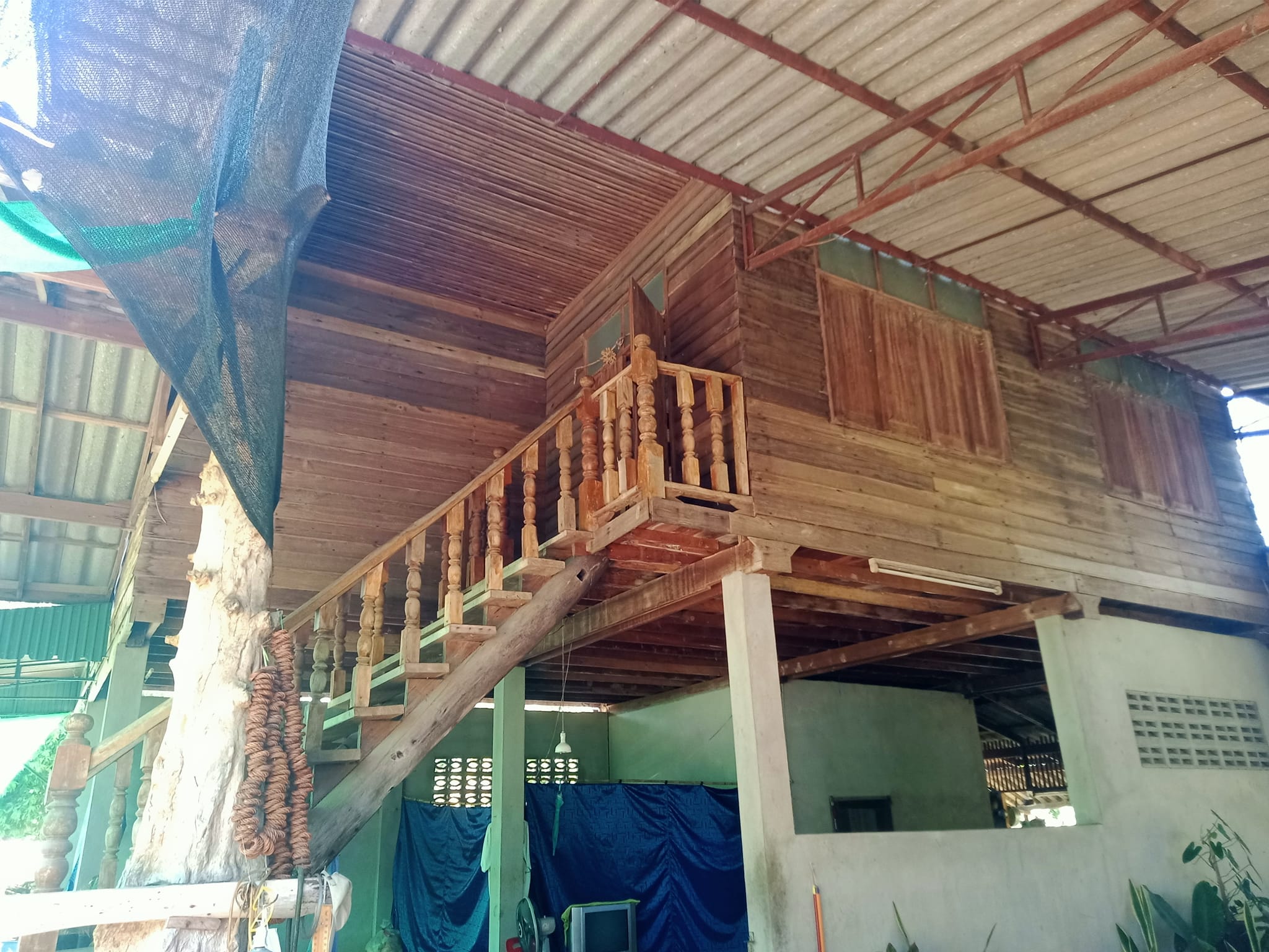 ขายบ้านพร้อมที่ดิน แม่ทะ ลำปาง 0-3-63