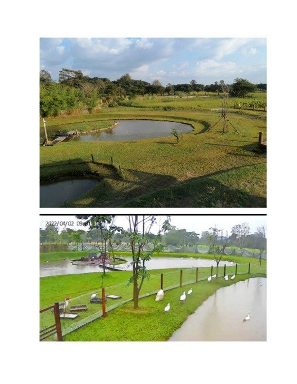 ขายบ้านสวนและที่ดิน 4.5 ไร่ ใกล้ตัวเมืองเชียงใหม่