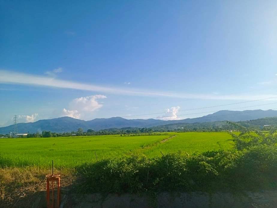 ขายที่ดิน ด่วน แม่ริม เชียงใหม่ 1-0-21 ไร่