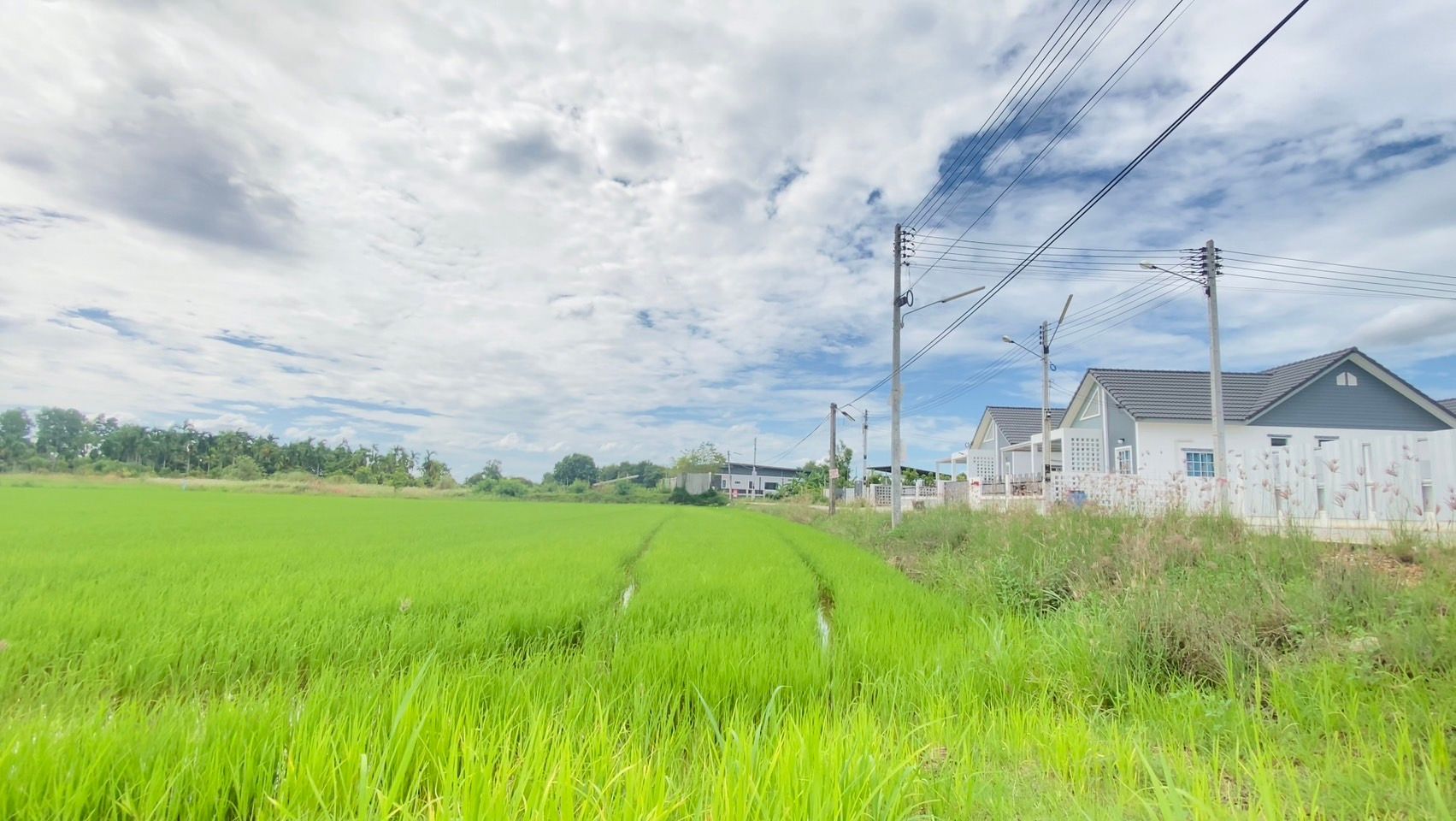 ขายที่เปล่า แปลงทุ่งนา วิวสวยมาก ติดชุมชน ใกล้เซนทรัลระยอง