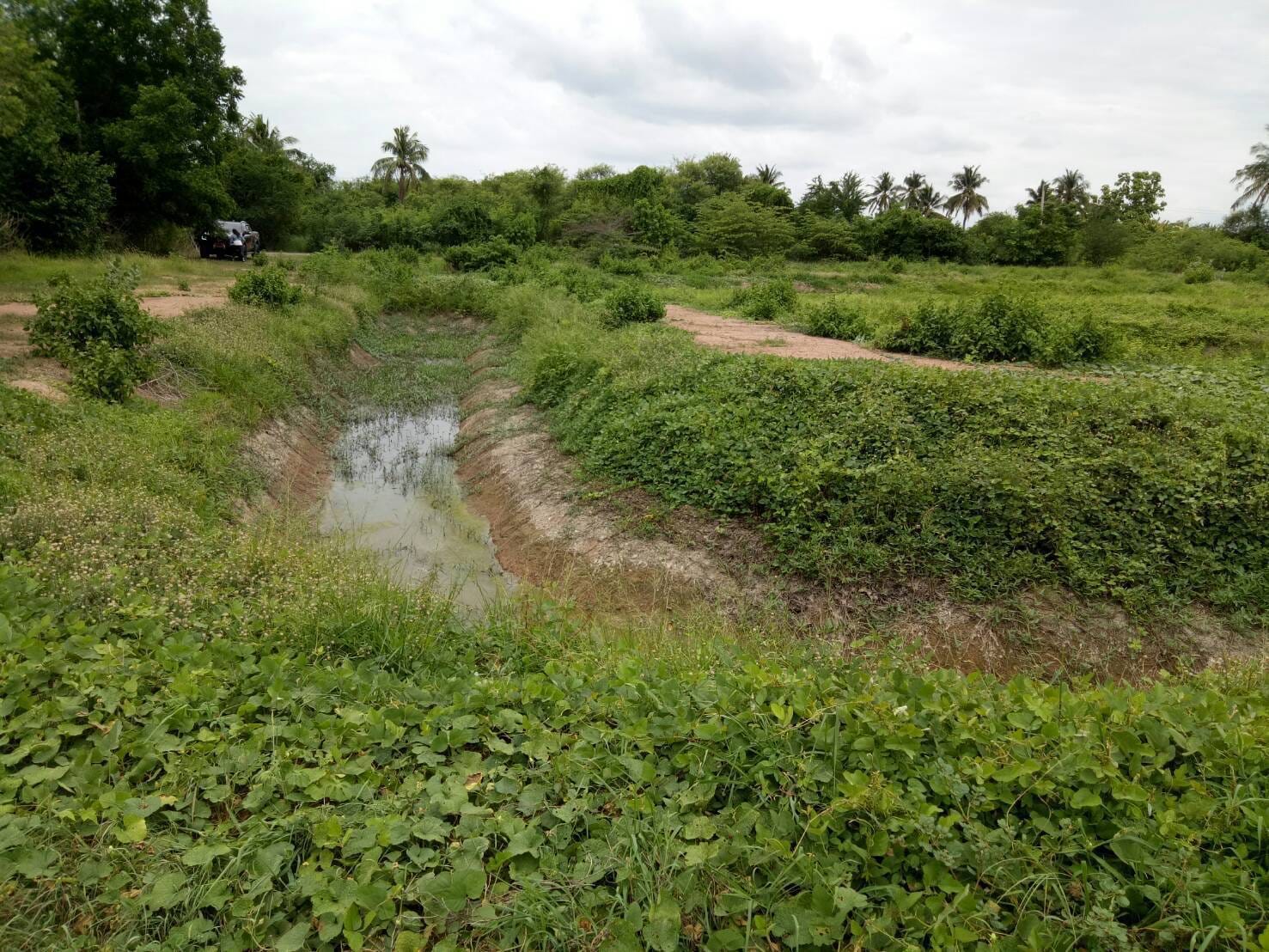 ขายที่ดิน สุพรรณบุรี 3-1-99