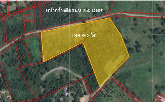 ขายที่ดินเขาใหญ่ นครราชสีมา