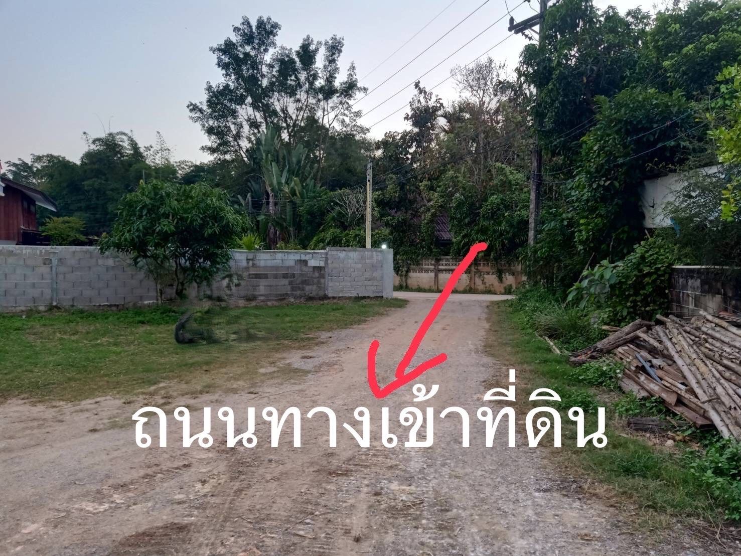 ขายที่ดินเชียงราย อำเภอเมืองเชียงราย ใกล้สิงห์ปาร์คเชียงราย ที่แปลงสวย น่าลงทุน