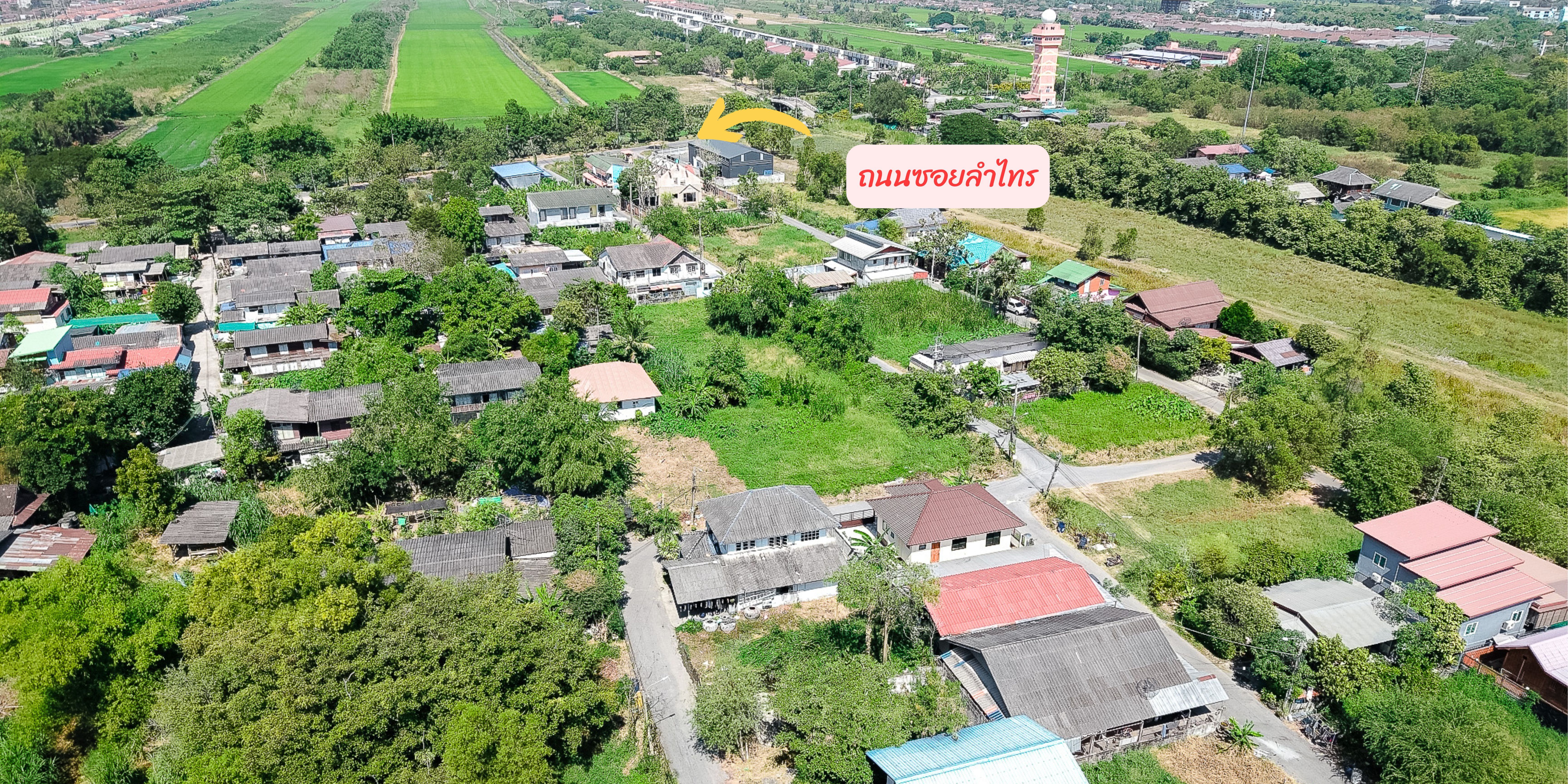  แปลงสวยราคาไม่ถึงล้าน  อุดมสมบูรณ์ ท่ามกลางธรรมชาติ ถนนซอยสาธารณะ