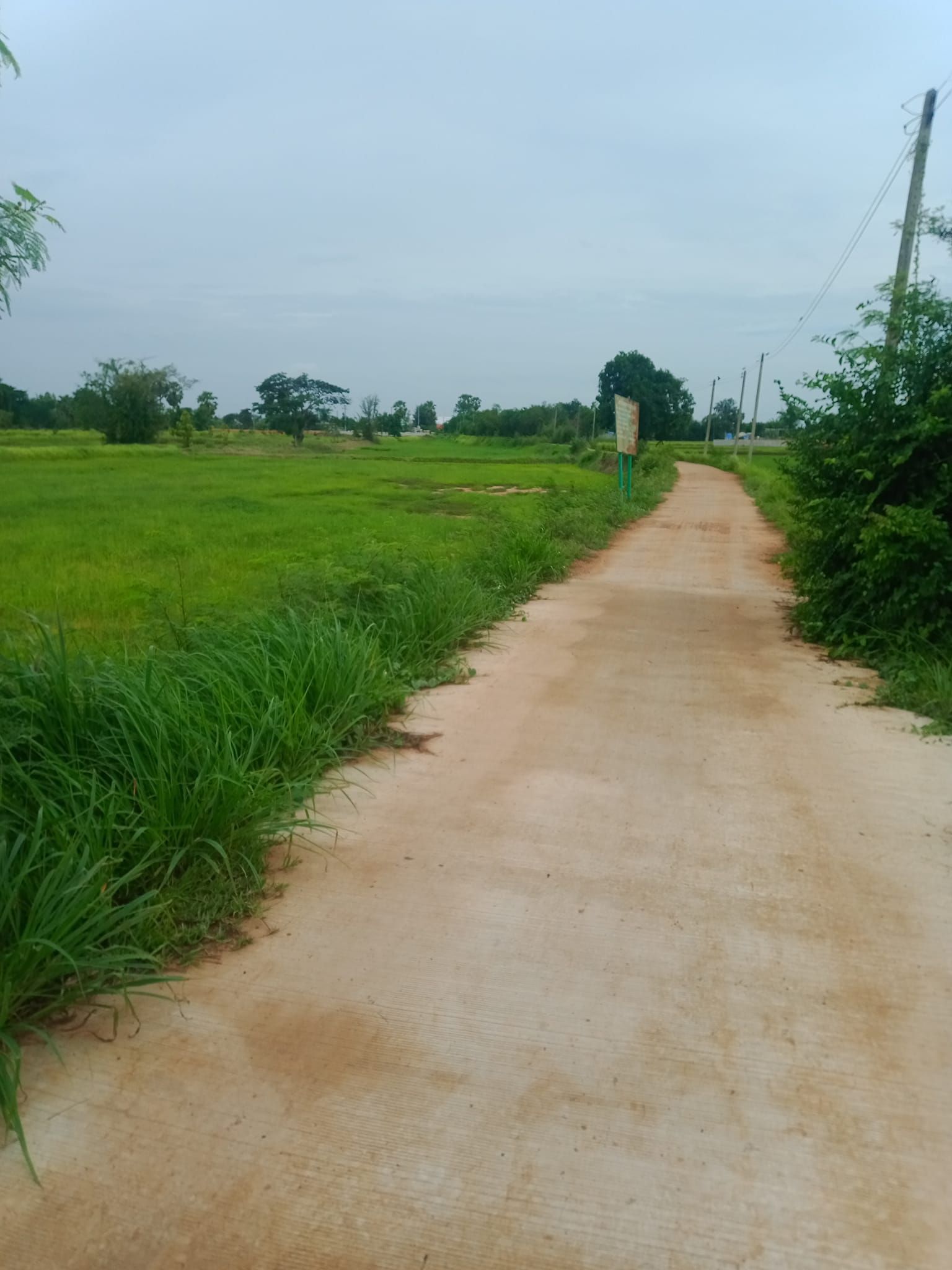 ขายที่ดิน 0-1-19 ตรว. หลังสิน2000