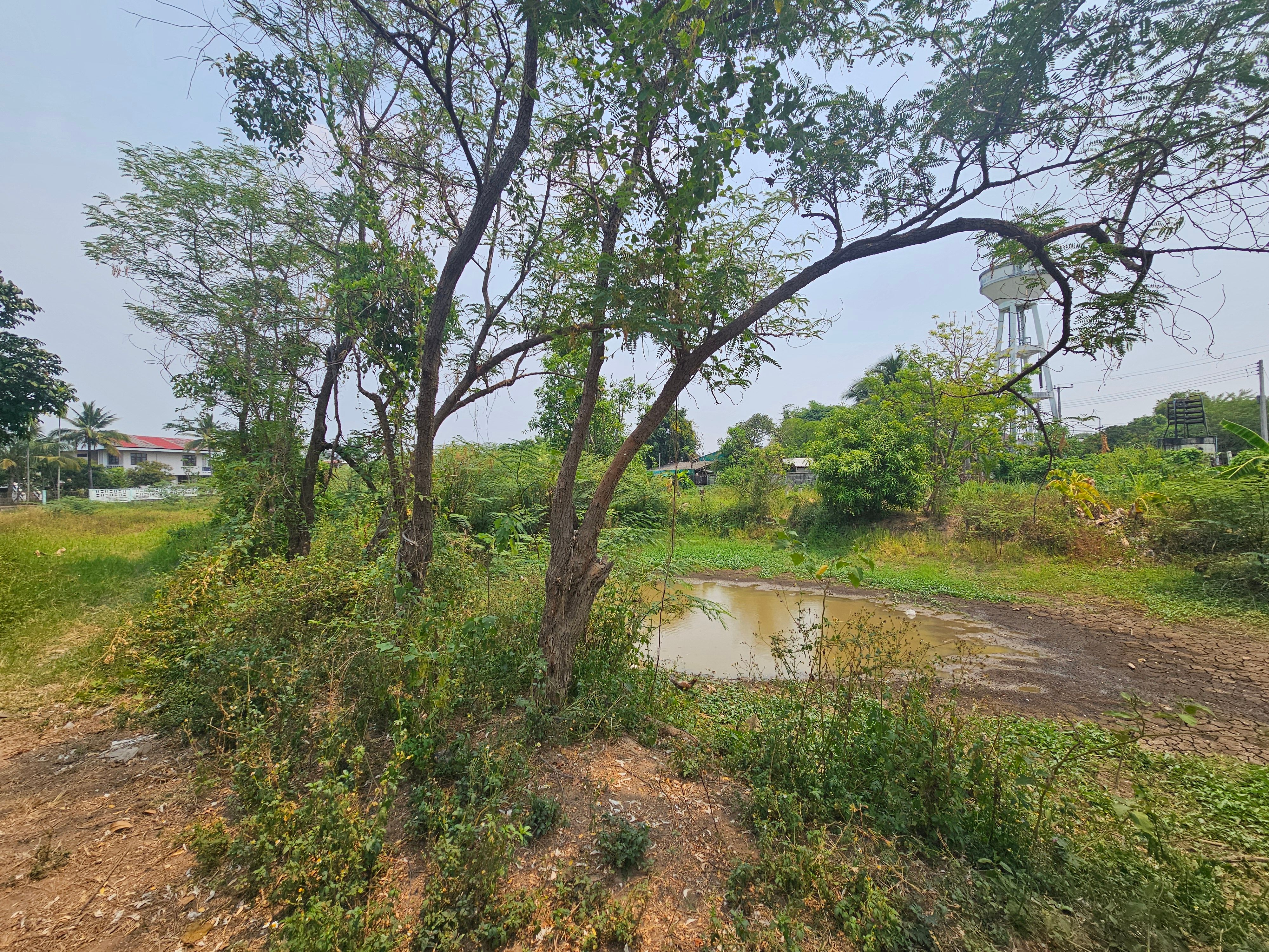 ขายที่ดินฮวงจุ้ยดี ด้านหน้าทางน้ำ ด้านข้างทุ่งนาเห็นภูเขา ด้านหลังสนามกอฟ สวยมากครับ