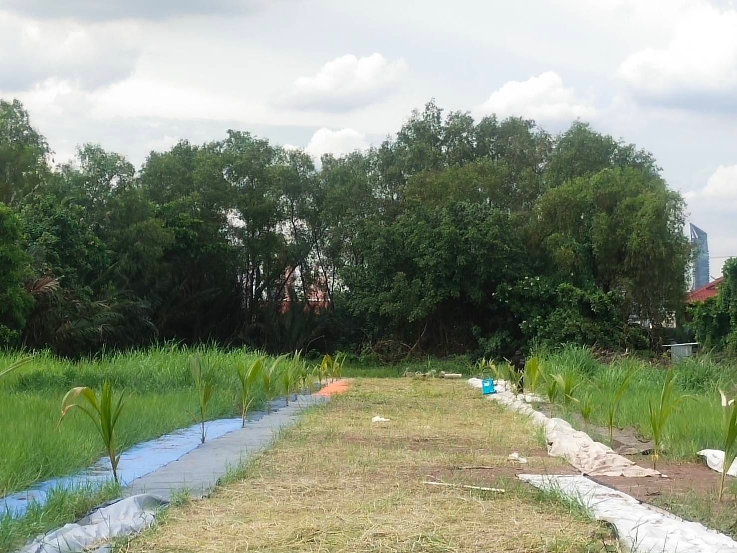 ที่ดินริมแม่น้ำเจ้าพระยา ตรงข้ามคลองเตย