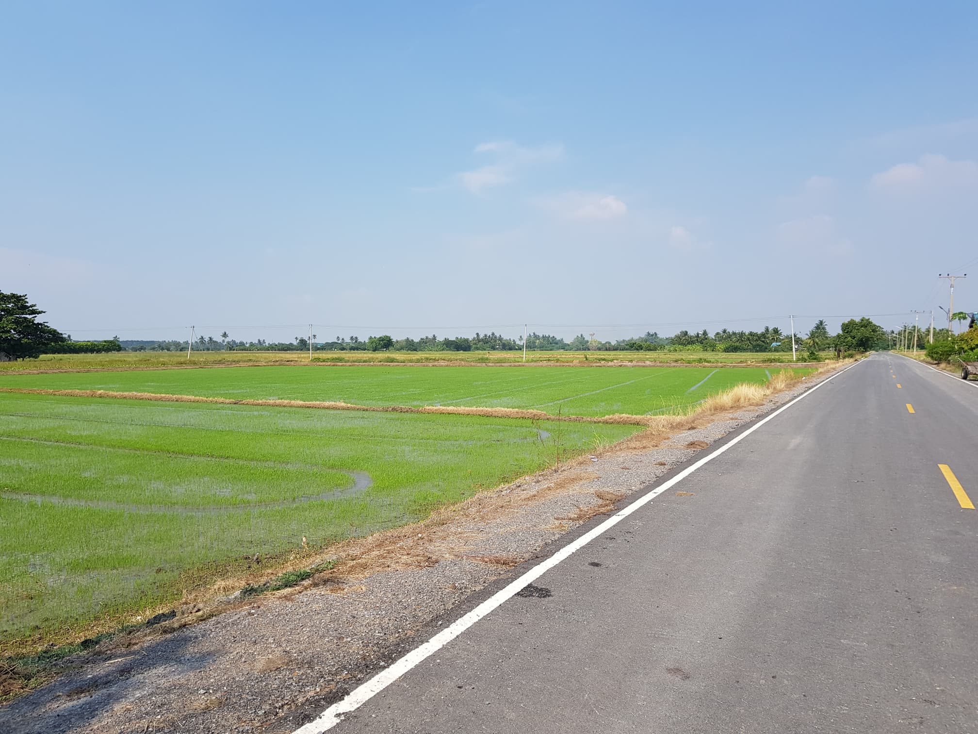 ที่ดินเปล่า อ.ศรีประจันต์ จ.สุพรรณบุรี 2-0-64