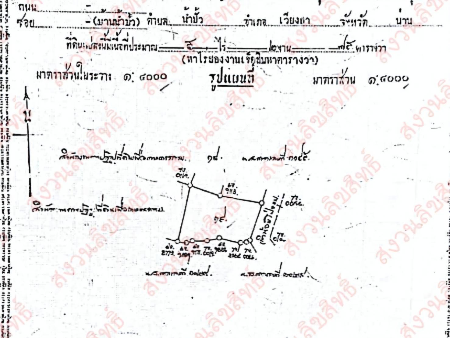 ที่ดินมีสวนลำไย ต้นสัก และพื้นที่เปล่า