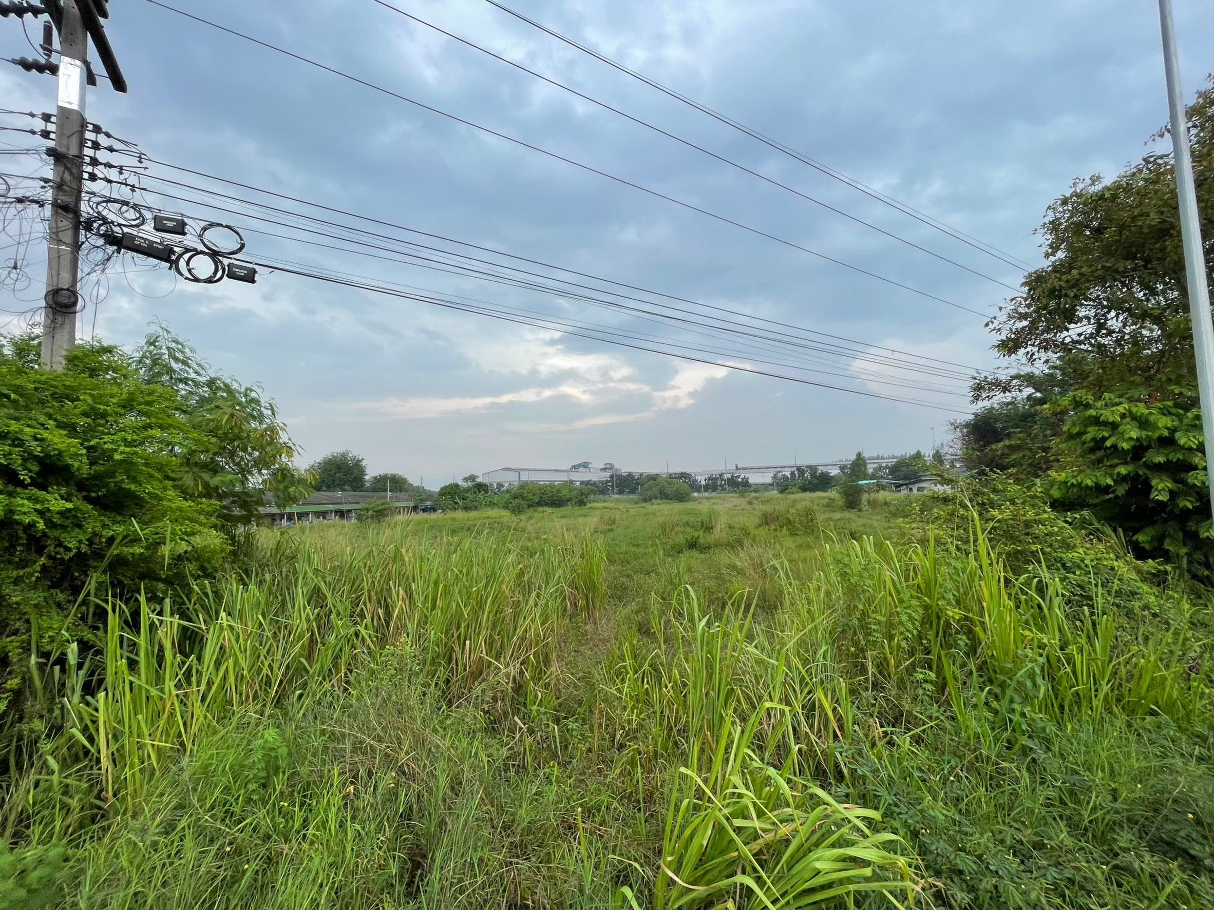 ขายที่ดินชลบุรี สีม่วง สร้างโรงงานได้