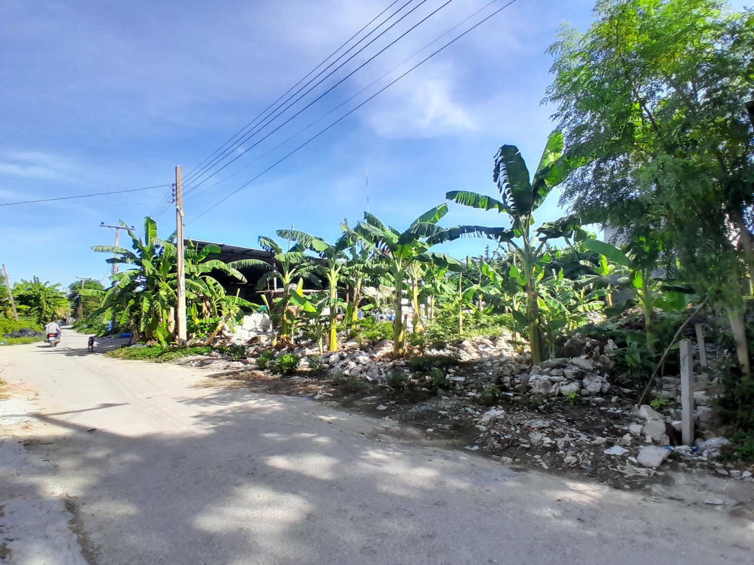 ขายที่ดินย่านบางนา ซอยลาซาล52 ทำเลดี