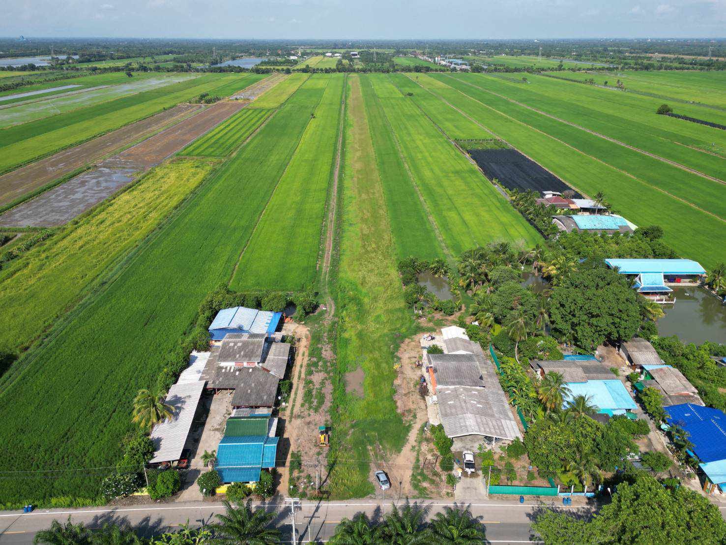 ที่ดินแบ่งขาย เริ่มที่ 1.6 ล้านบาท หนองเสือ ปทุมฯ 