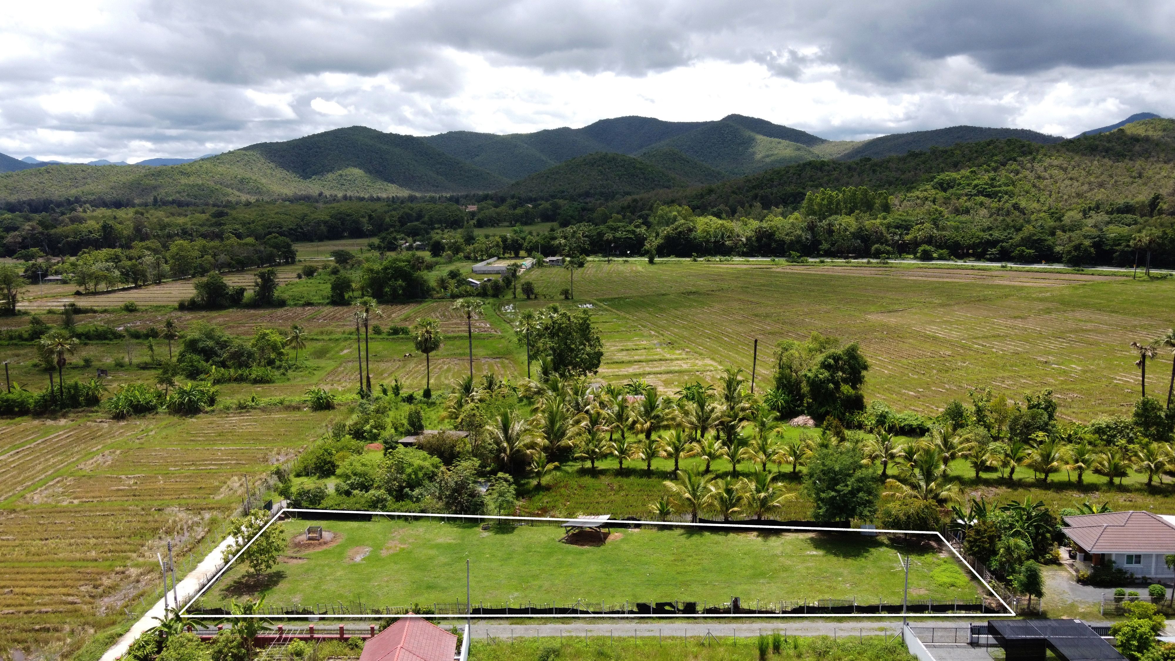  ขายที่ดินเชียงใหม่ สันกำแพง 1 ไร่ ถนนคอนกรีต วิวดอย น้ำ-ไฟ-เน็ตพร้อม ใกล้ถนนตัดใหม่เพียง 500 ม.