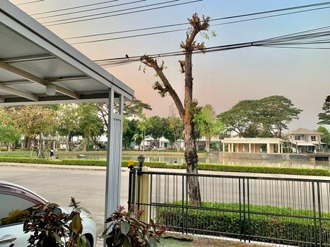 ขายบ้านเดี่ยว 2 ชั้น 75 ตรว. วิวหน้าทะเลสาบ ใกล้ม.อัสสัมชัญ สุวรรณภูมิ