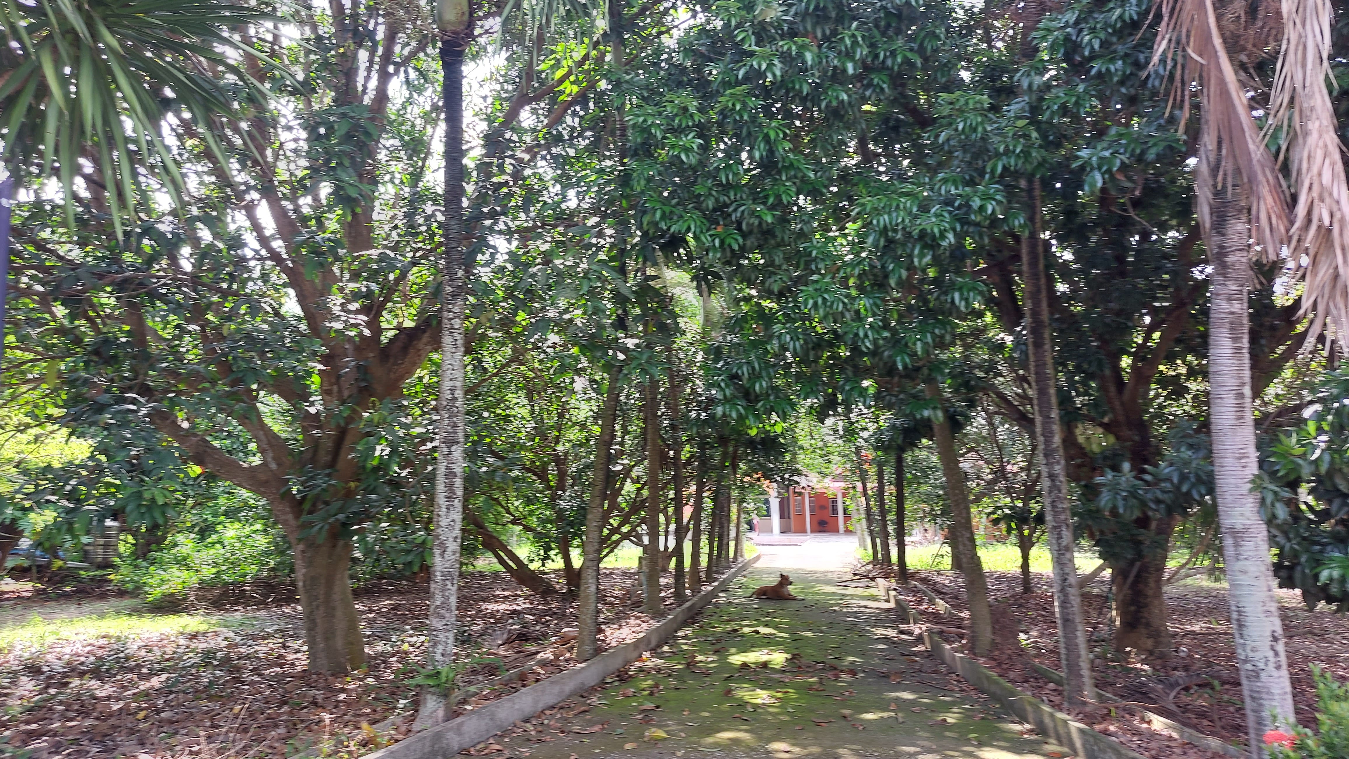 บ้านเดี่ยวพร้อมสวนติดคลอง