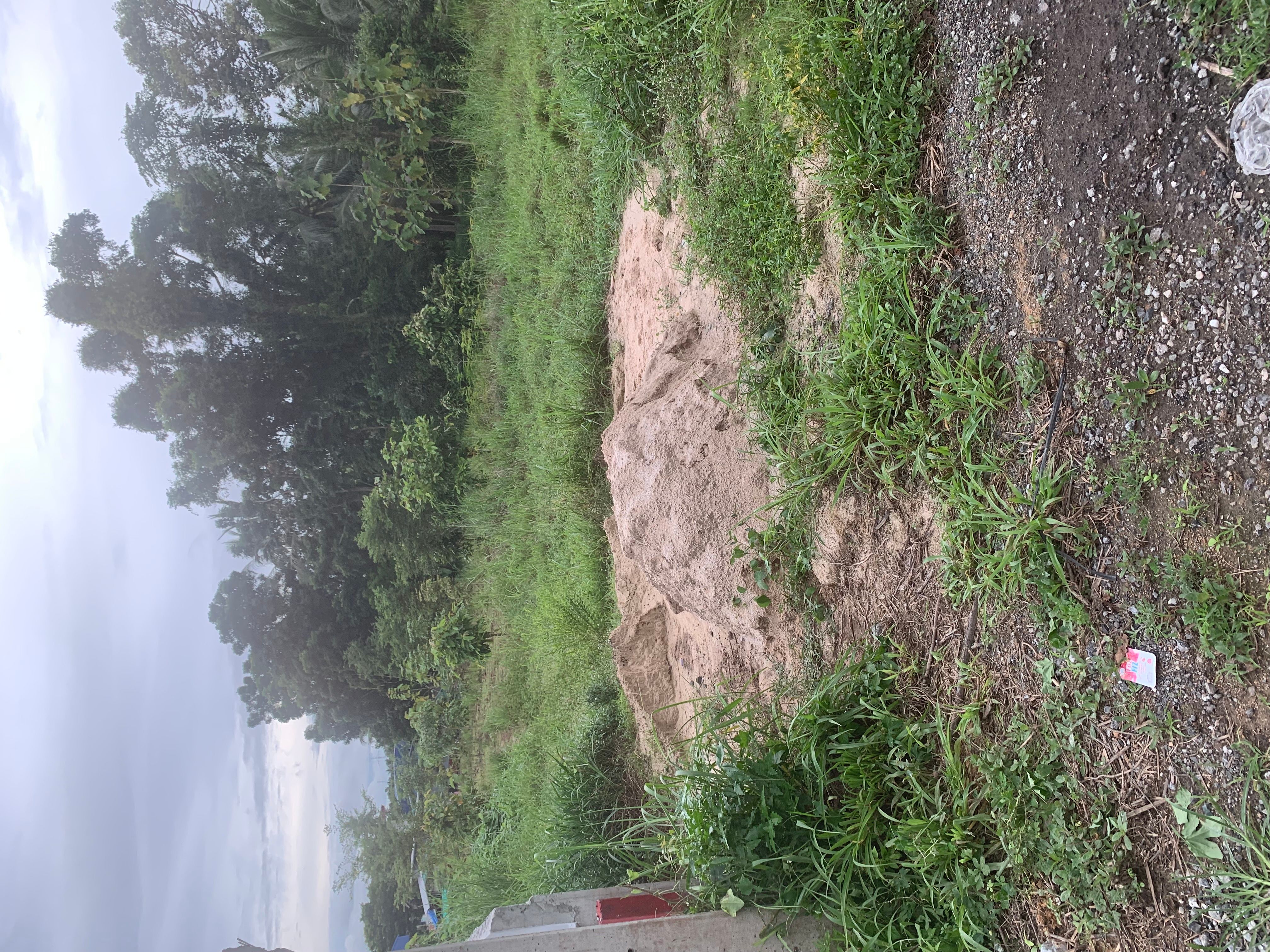 ขายที่ดิน บางละมุง ชลบุรี 151 ตร.ว