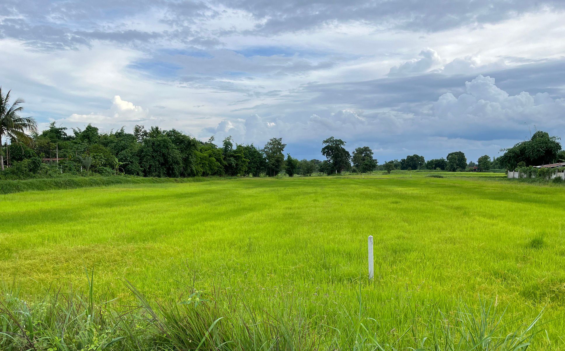ขายที่ดินทำเลดี 6 ไร่ สวยๆ ติดถนน 2 ด้าน ด้านหน้าติดถนนชยางกูร (ทางหลวงเอเชียสาย 121) หน้ากว้าง 70 เมตร