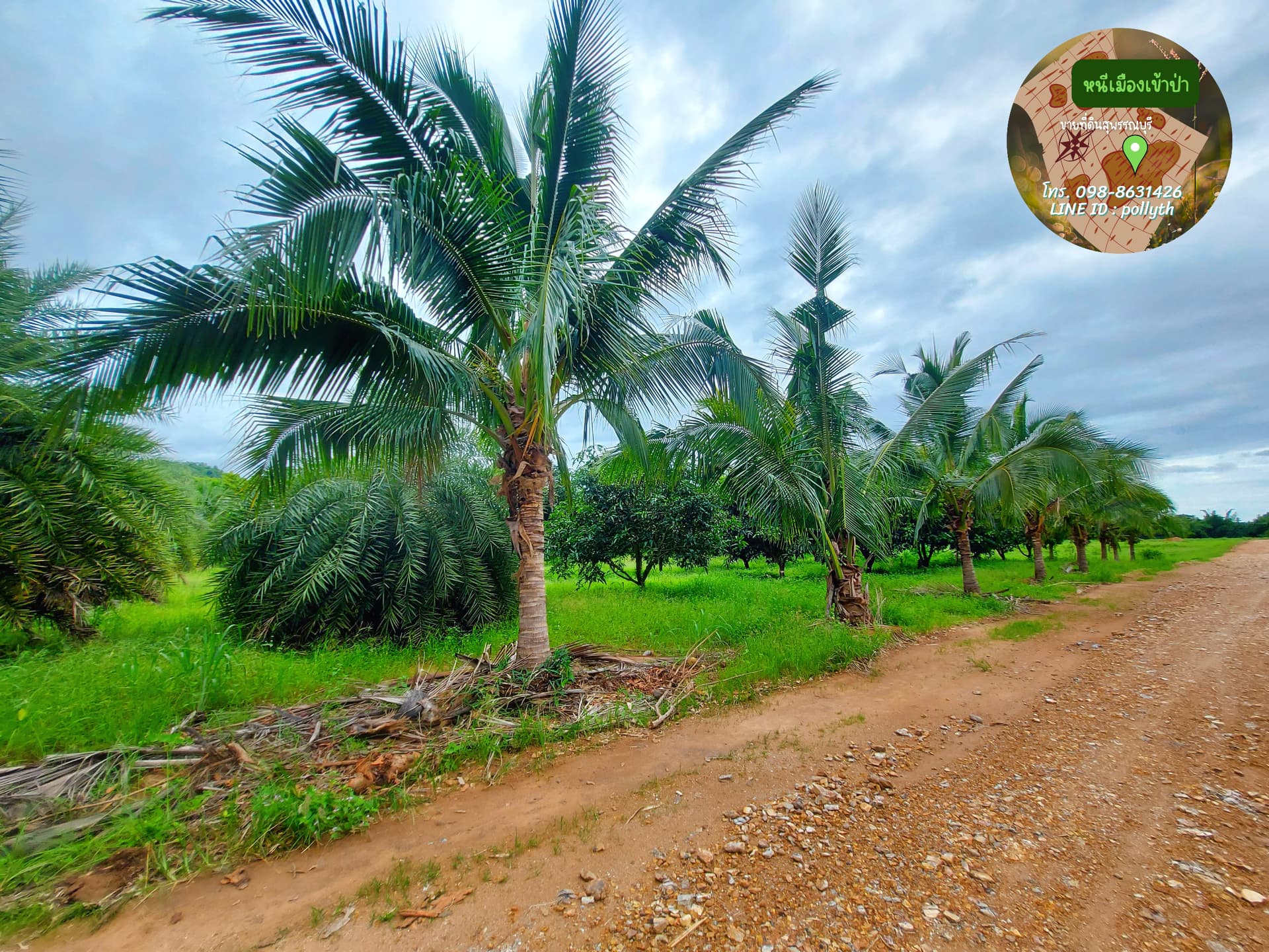 ขายที่ดินสวนผลไม้  ยกแปลง 5 ไร่ อ.ด่าลช้าง จ.สุพรรณบุรี