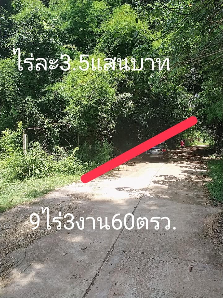 ที่ดินใกล้ป่าต้นไม้เยอะ อุบลราชธานี 9-3-60 ไร่