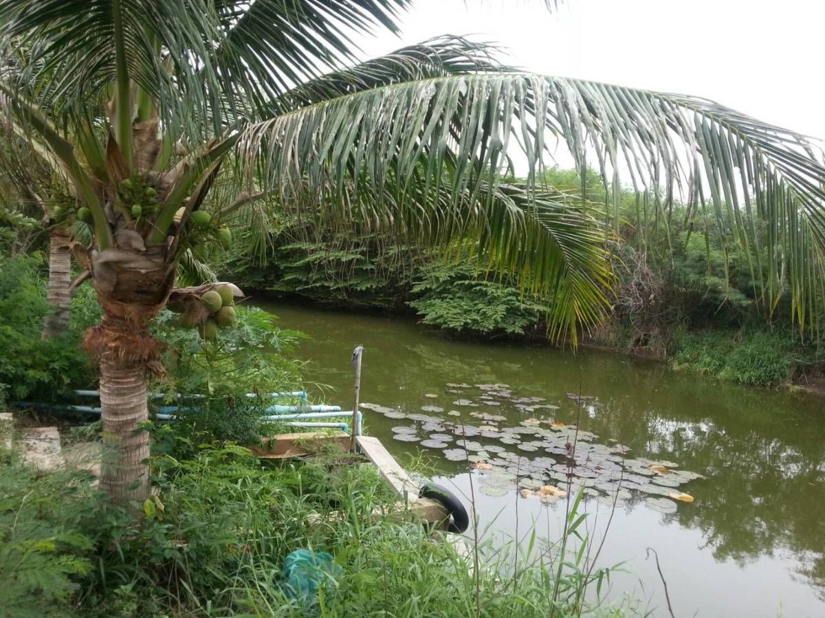 ขายที่ดินพัฒนานิคม ลพบุรี