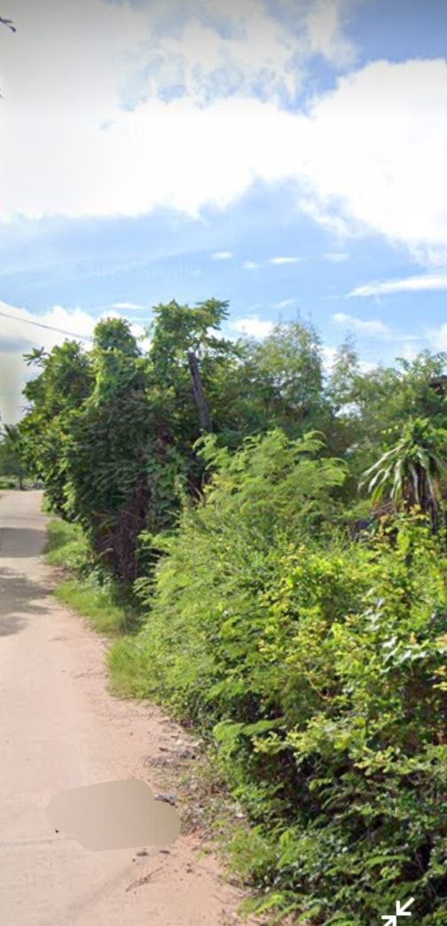 ขายที่ดิน 0-0-87 โคราช