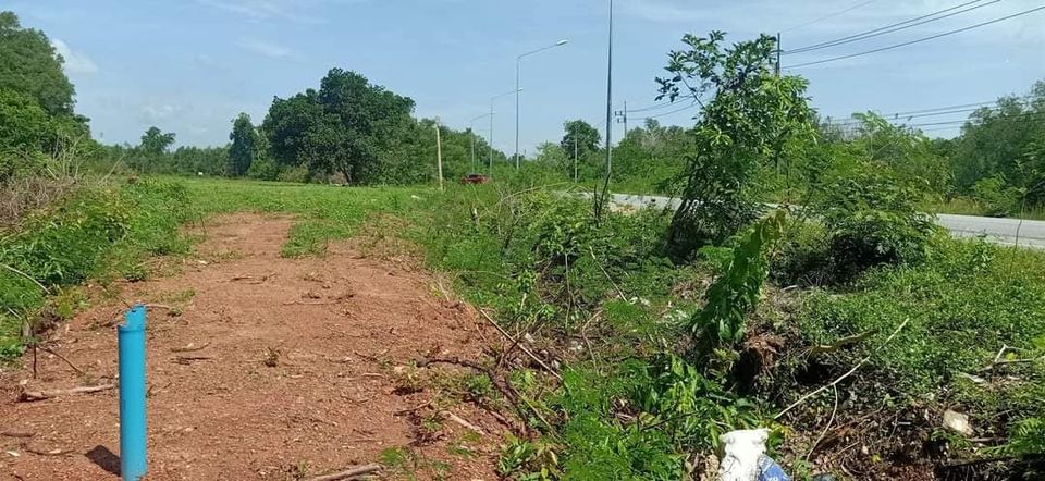 ขายที่ดิน สงขลา หาดใหญ่ 50 ตรว.