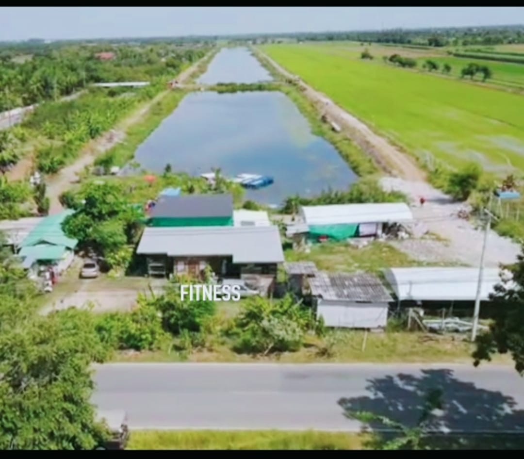 ขายด่วนที่ดินไร่ละ330,000บาทจ.ปทุมธานี