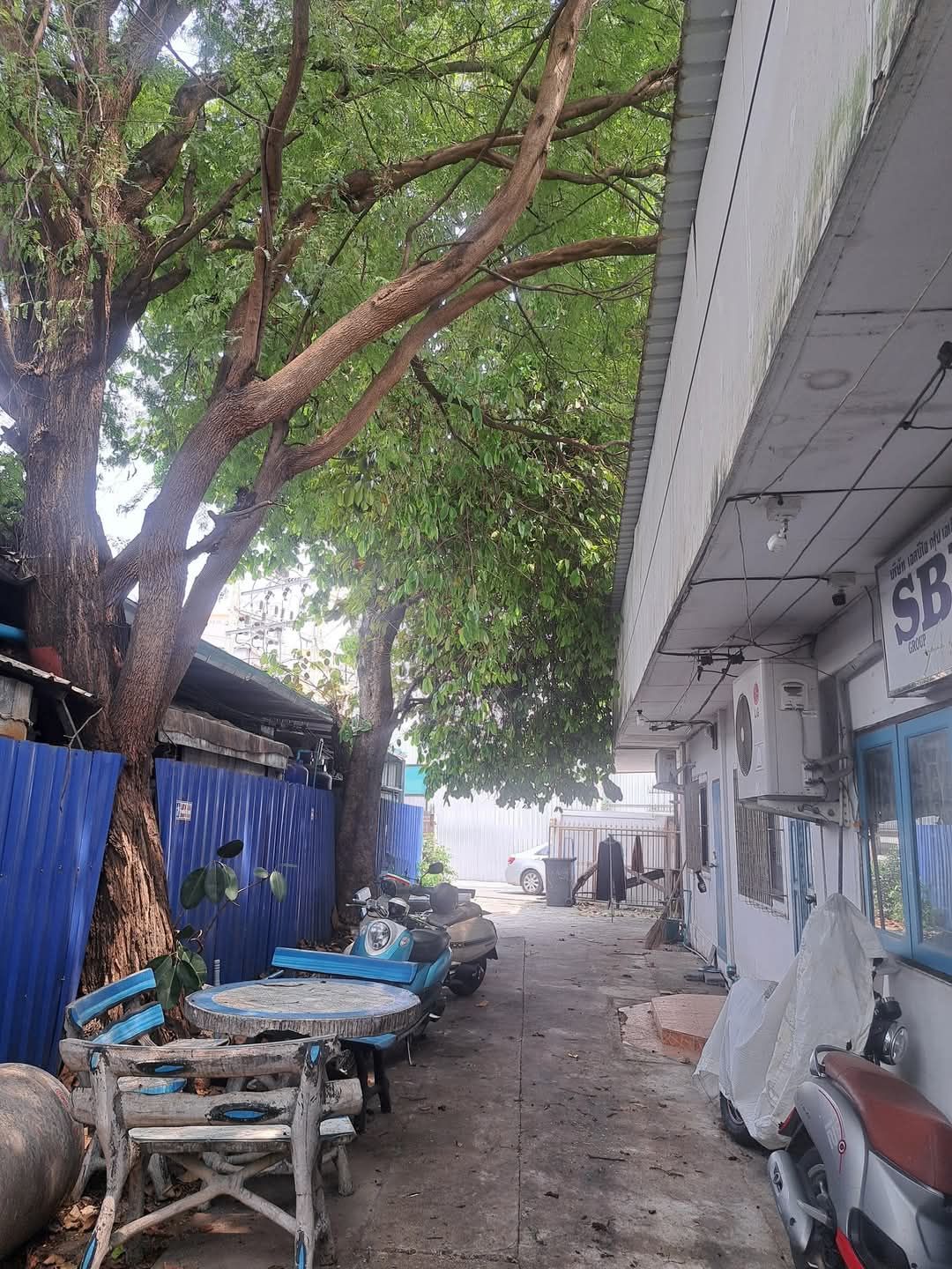 ขายห้องแถวพร้อมที่ดิน