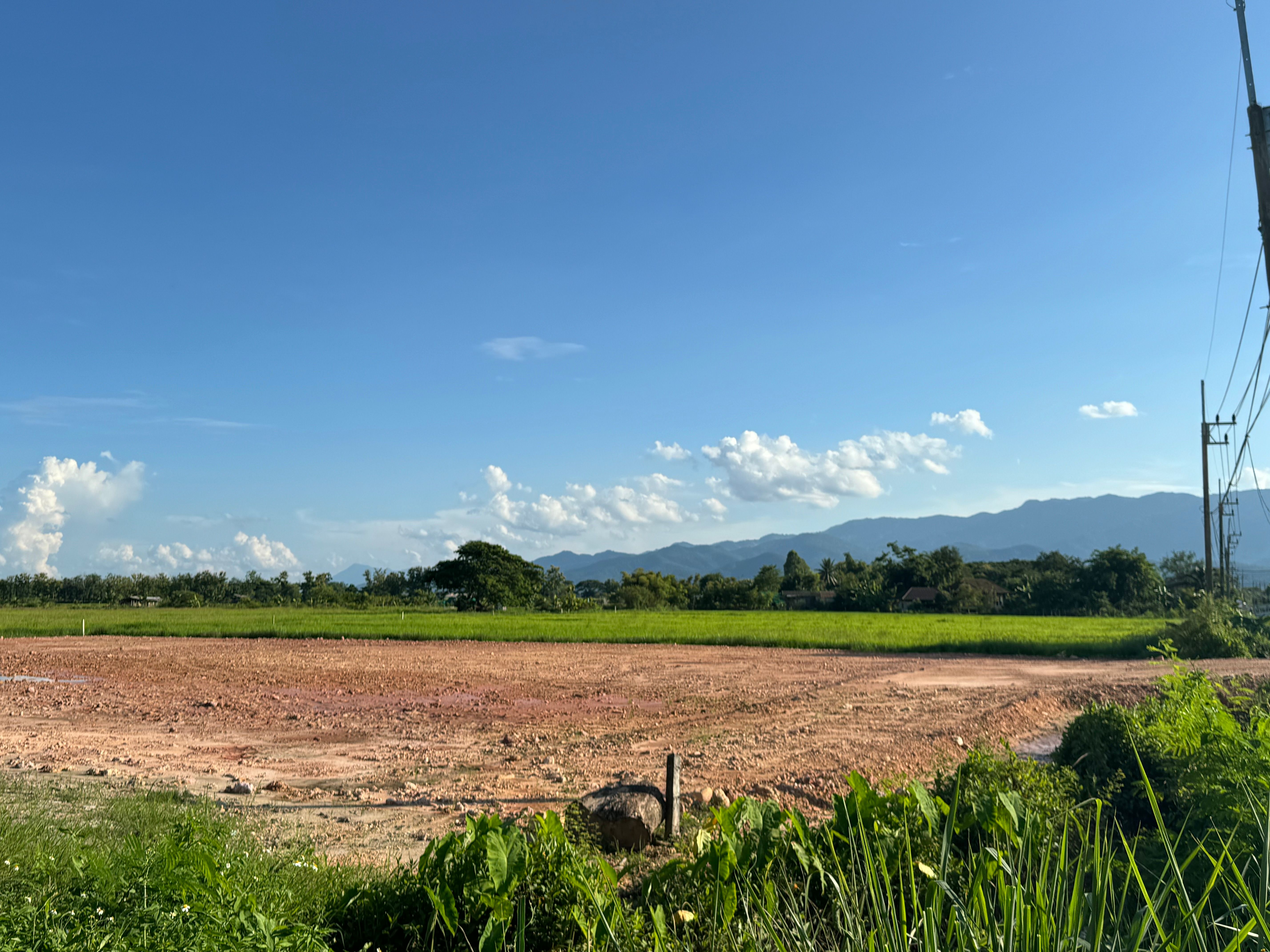 ขายที่ดินเชียงราย อำเภอพาน