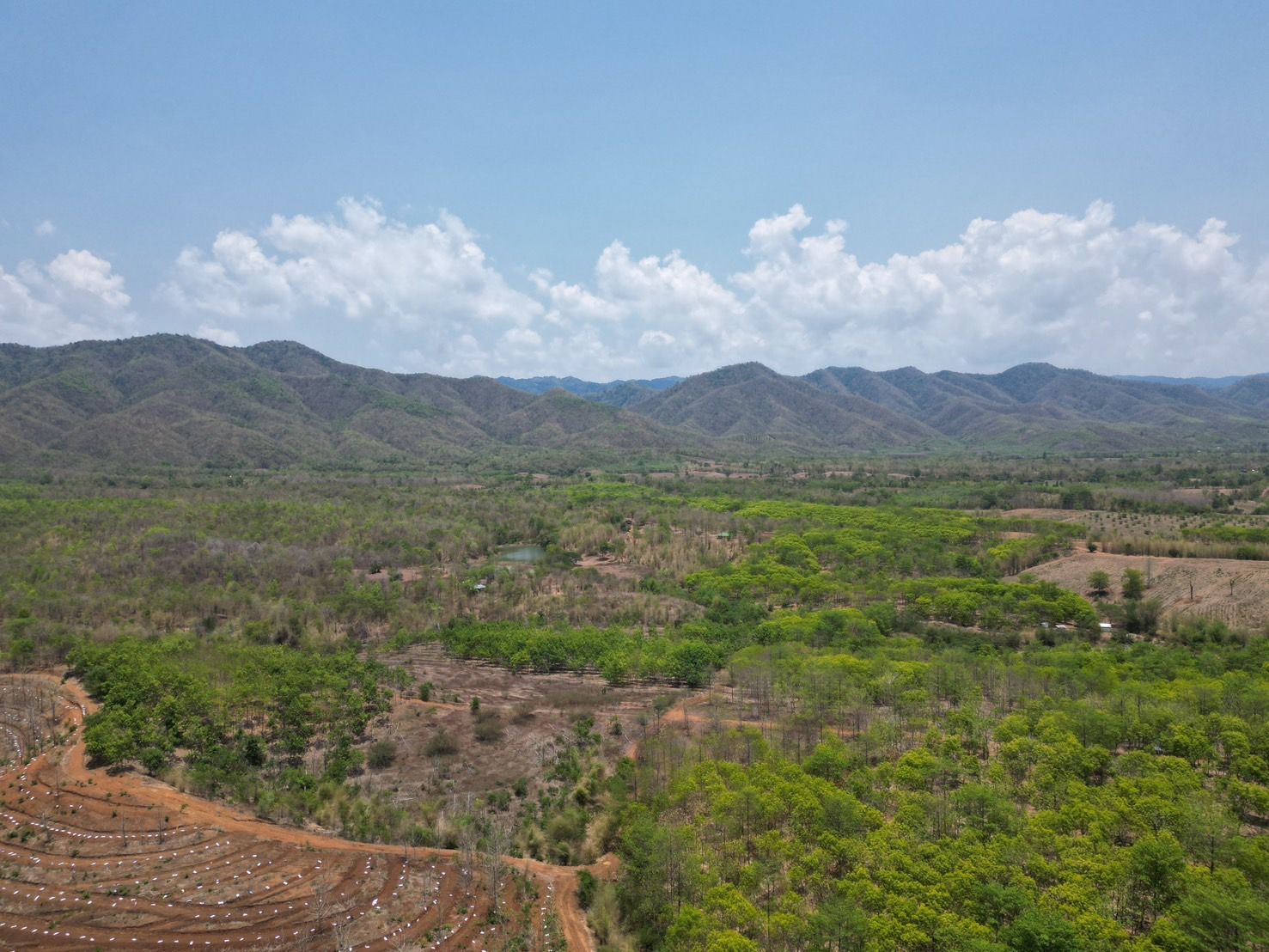 ขายที่ดินเพชรบูรณ์ ที่ดินทำเลดี บรรยากาศเยี่ยม วิวทิวทัศน์หลักสิบล้าน น่าลงทุนมาก สายลุย สายแคมป์ปิ้ง ห้ามพลาด!!! หล่มสัก เพชรบูรณ์ 