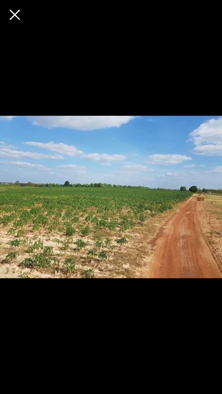 ขายที่ดินขอนแก่น อำเภอน้ำพอง โอกาสสำหรับนักลุงทุนที่มองหาที่ดินสวยแปลงใหญ่