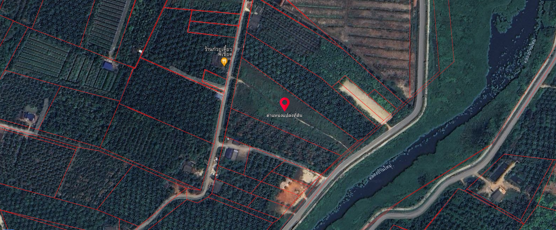 ขายที่ติดบึงขุนทะเล สุราษฏร์ธานี 8-1-35.9 ไร่  