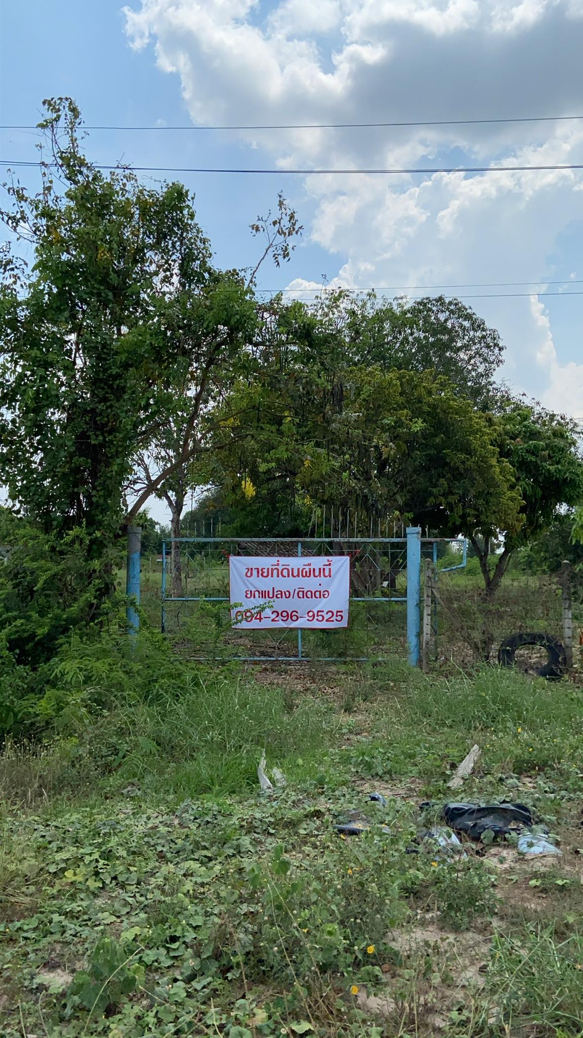 ขาย​ที่ดิน​แปลง​เล็ก​สำหรับ​ป​ลูกบ้าน​พักอาศัย 1-3-12 ไร่