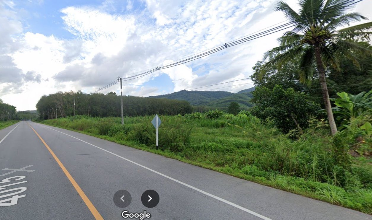 ขายที่ดิน 25ไร่กว่า บ้านพรุแชง ต.บ้านส้อง จ.สุราษฎร์ธานี