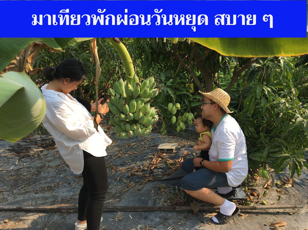 ขายที่ดินสุพรรณบุรี แปลงสวย บรรยากาศดี ใกล้ วิศรุต ฟาร์ม แพะ-แกะ อู่ทอง สุพรรณฯ 8-0-0 ไร่.