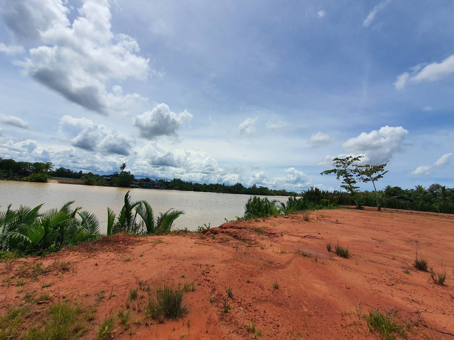 ที่ดินริมน้ำแปลงสวย บางไทร อำเภอเมือง สุราษฎร์ธานี 127.1 ตร.ว