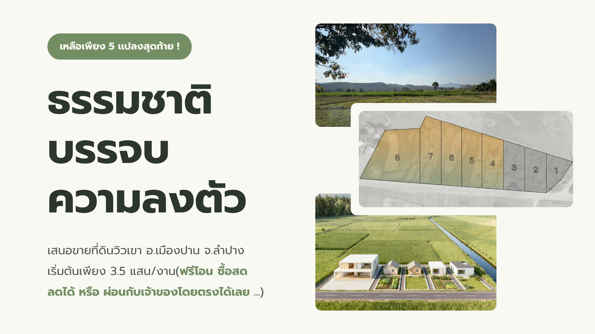 ขายที่ดิน 5 แปลงสุดท้ายจากทั้งหมด 8 แปลง! วิวเขา @เมืองปาน จ.ลำปาง - ผ่อนตรงกับเจ้าของได้ 🏔️🌲