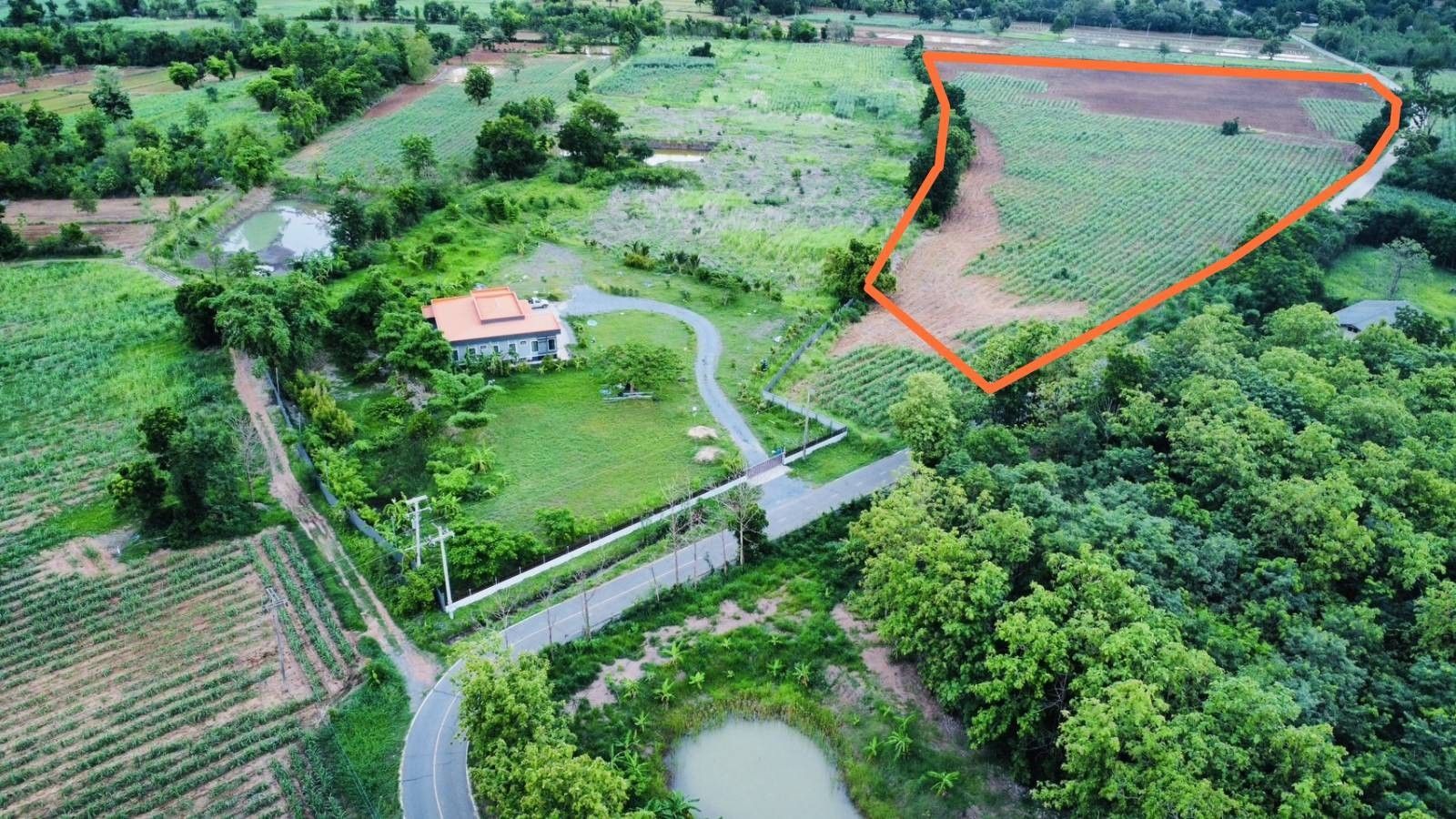 ที่ดินสวยราคาถูก