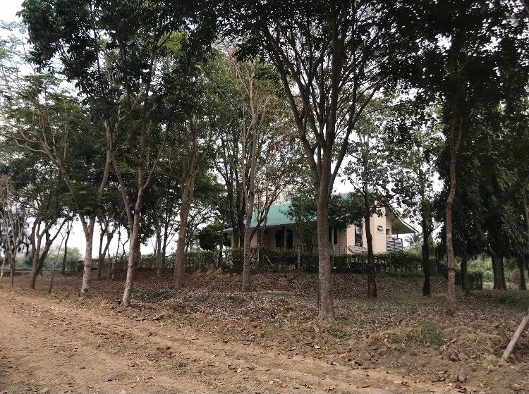 ขายที่ดินสุพรรณบุรี อำเภออู่ทอง ที่ดินทำเลดี เดินทางสะดวก ใกล้แหล่งอำนวยความสบาย น่าลงทุนมาก 5-2-0 ไร่.